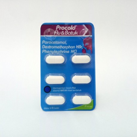 Procold Flu & Batuk