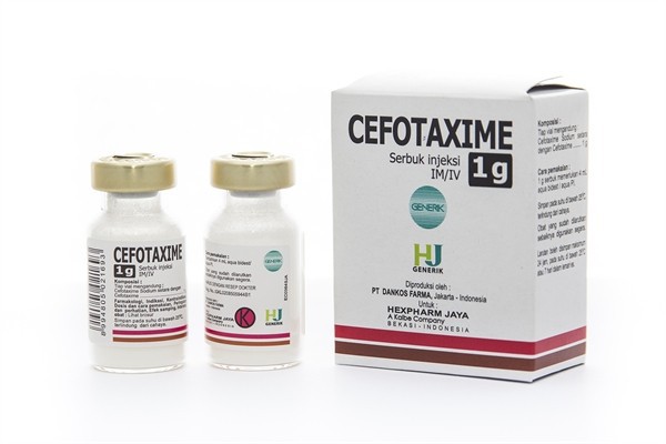 Cefotaxime